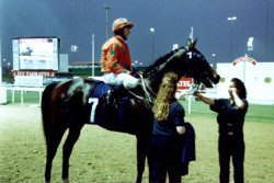 Fruits of Love - winner of the Dubai Turf