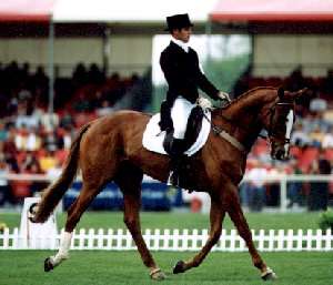 Blyth Tait and Ready Teddy - pre event favourite