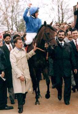 The Victory celebrations!