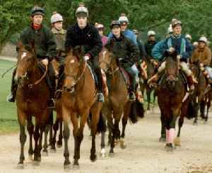 David work riding - horse with pink bandages