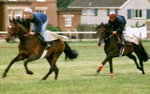 David with Commander-in-Chief