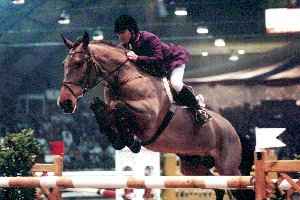 Diamond Cliff with John Whitaker