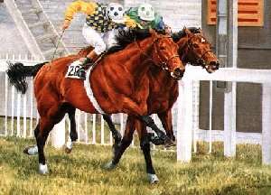 Secreto and El Gran Senor by Sue Wingate