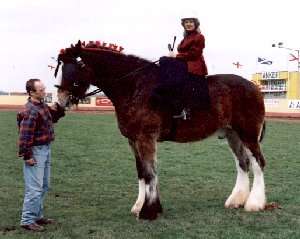 Irene riding the Clydesdale upon which she started her trek